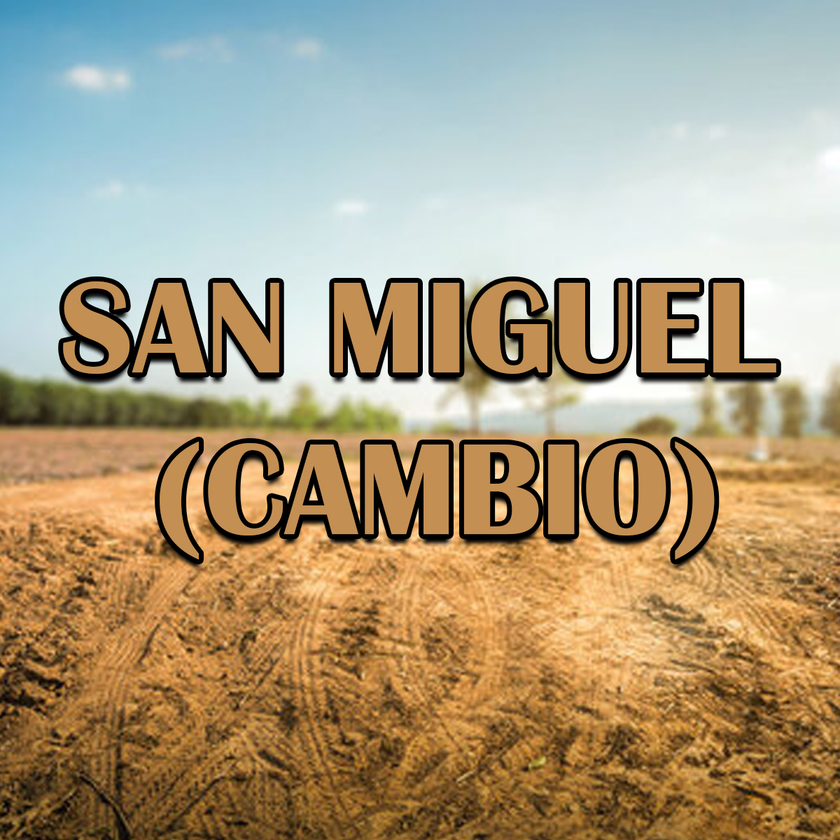 SAN MIGUEL (CAMBIO) Block 1 Lot 75