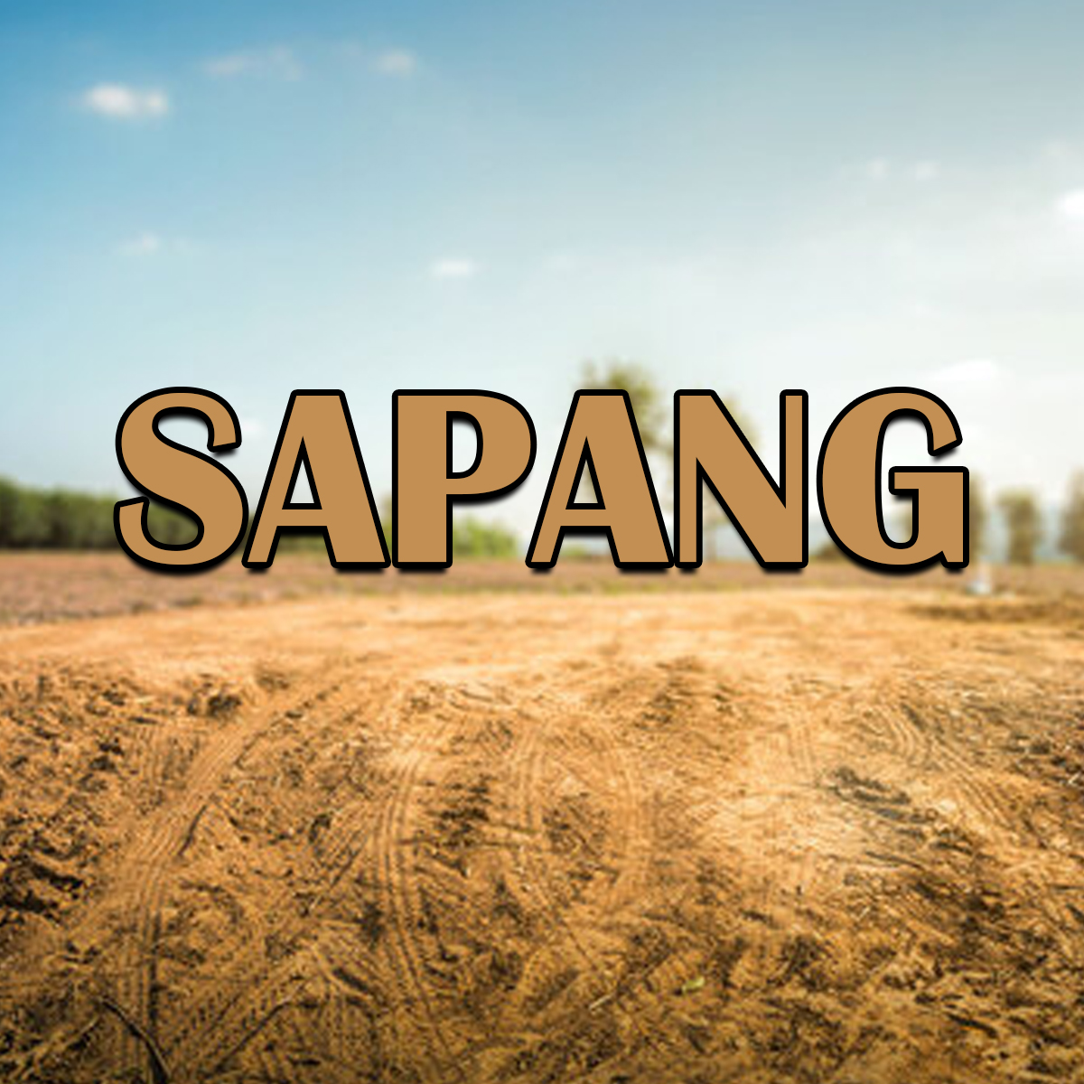 SAPANG Block 1 Lot 1